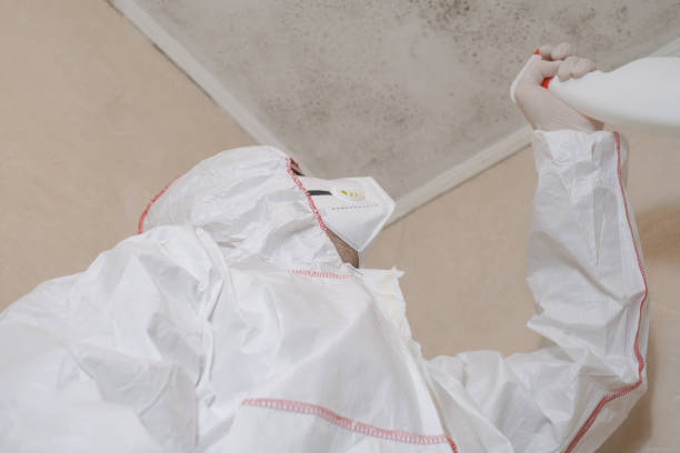 Best Mold Testing and Inspection Services in Tullahoma, TN